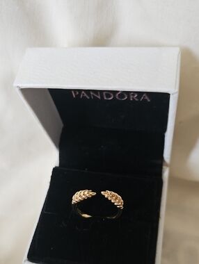 Pandora Shine Open Grains Ring - Size 50